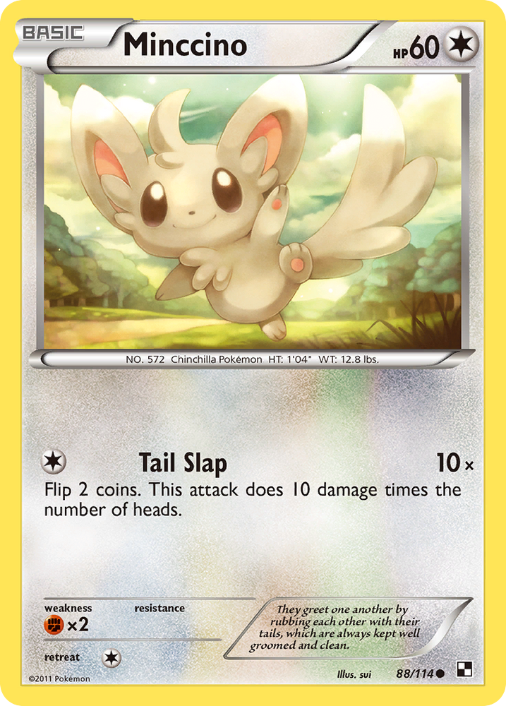 Minccino (88/114) [Black &amp; White: Base Set] 