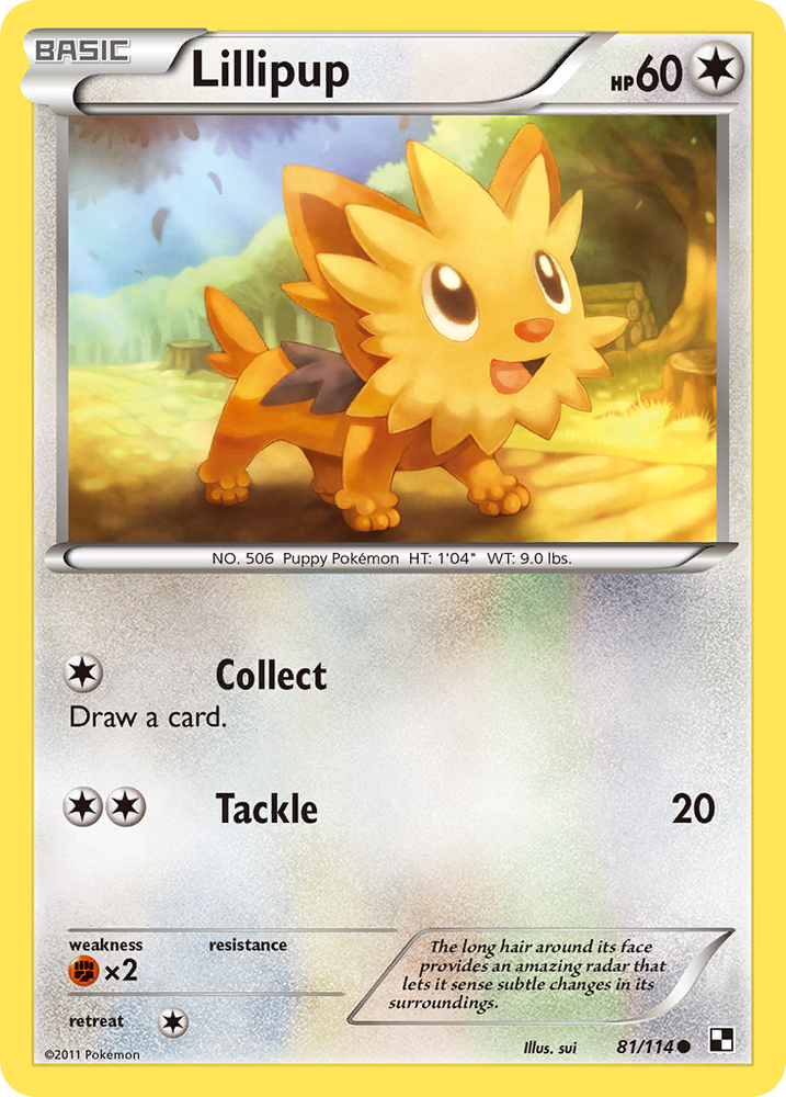 Lillipup (81/114) [Black &amp; White: Base Set] 